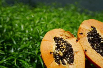 Close-up of orange fruit