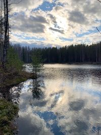 Scenic view of lake in forest against sky