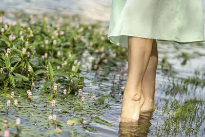 Woman's foot touches the water surface of a lake with blooming algae.