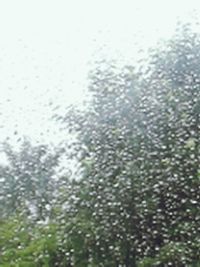 Close-up of water drops on glass