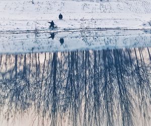 Ducks swimming in water