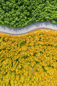 High angle view of road