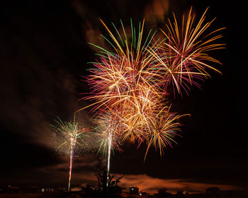 Low angle view of firework display at night