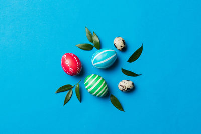 Directly above shot of fruits on blue background