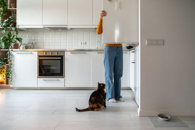 Interested cat begging for owner waiting snack food from refrigerator sitting on floor on kitchen.