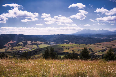 Scenic view of field against sky