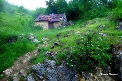 Scenic view of grassy landscape