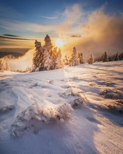 Scenic view of snow covered field against sky during sunset in vladeasa mountains 