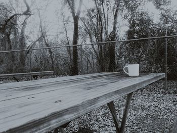 Close-up of table against trees