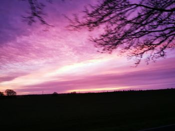 Silhouette of trees on field against dramatic sky