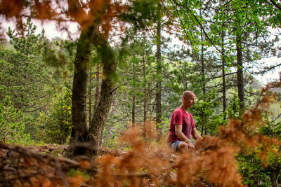 Man sitting on tree trunk in forest