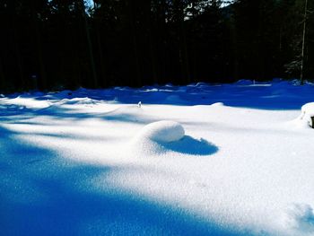 Snow on field in winter