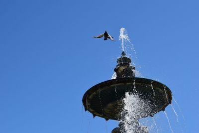 Low angle view of seagulls flying against clear blue sky