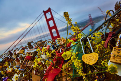 Padlocks hanging on railing