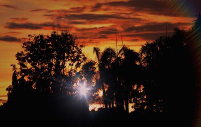 Silhouette trees against sky during sunset