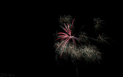 Low angle view of firework display at night