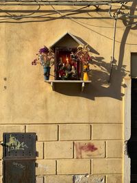 Potted plants on wall of building