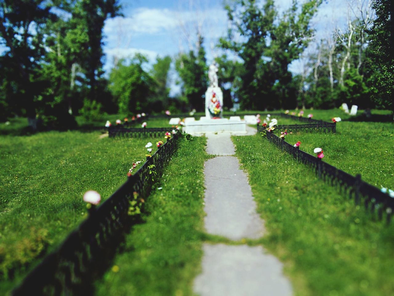 grass, green color, tree, grassy, field, selective focus, park - man made space, growth, the way forward, transportation, nature, lawn, diminishing perspective, incidental people, surface level, park, outdoors, day, road