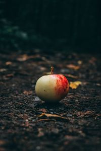 Close-up of apple on field