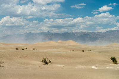 Scenic view of desert against sky