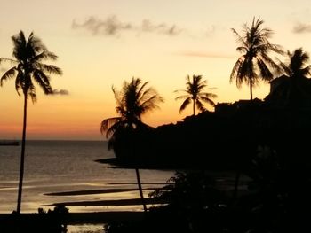 Silhouette palm trees on beach against sky during sunset