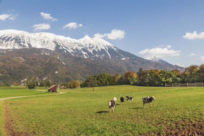 mountain