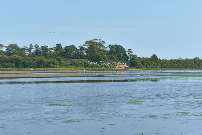 Scenic view of lake against clear blue sky