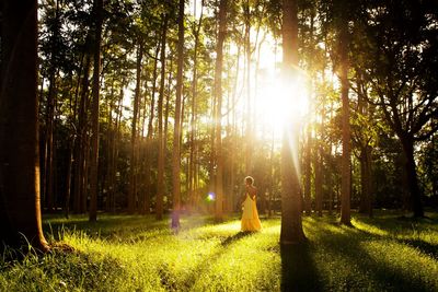 Young woman standing amidst trees in forest during sunny day