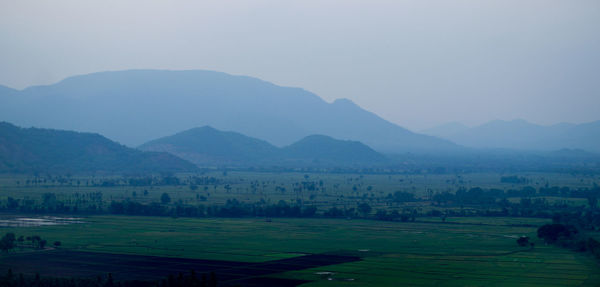 Scenic view of agricultural field against sky