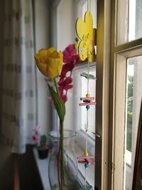 Close-up of tulips in vase against window at home