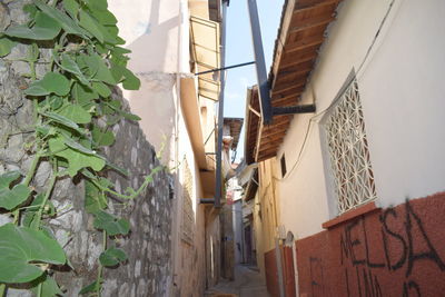 Low angle view of narrow alley amidst buildings