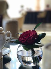 Close-up of rose in vase on table