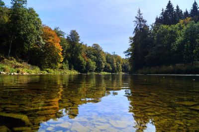 Scenic view of lake in forest against sky