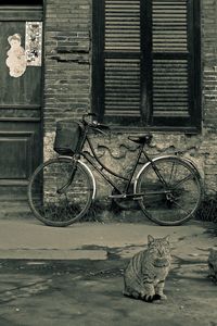 Bicycles on bicycle parked against brick wall