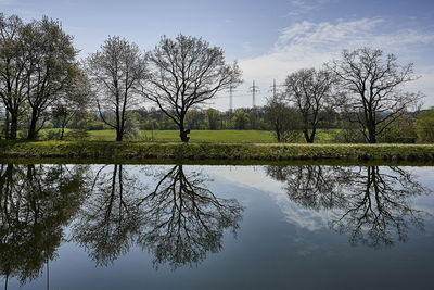 Bare tree by lake against sky