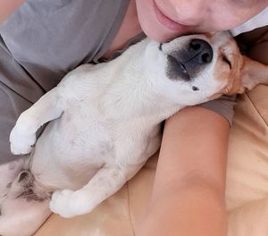 Low section of woman with puppy relaxing on bed