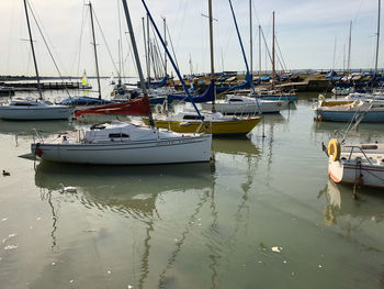 Sailboats moored in harbor