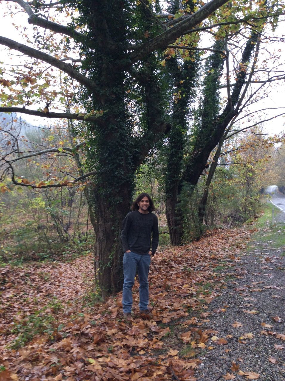 tree, lifestyles, casual clothing, full length, leisure activity, forest, young adult, standing, person, looking at camera, growth, front view, portrait, nature, rear view, young women, tree trunk, day