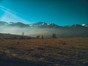 Scenic view of field against clear blue sky