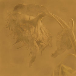 Digital composite image of a paper