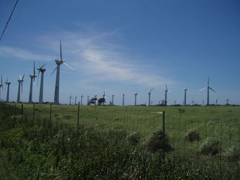 Windmills on field against sky