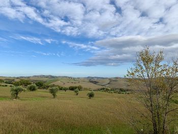 Scenic view of field against sky