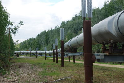 Train on field against sky