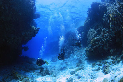 People swimming in sea