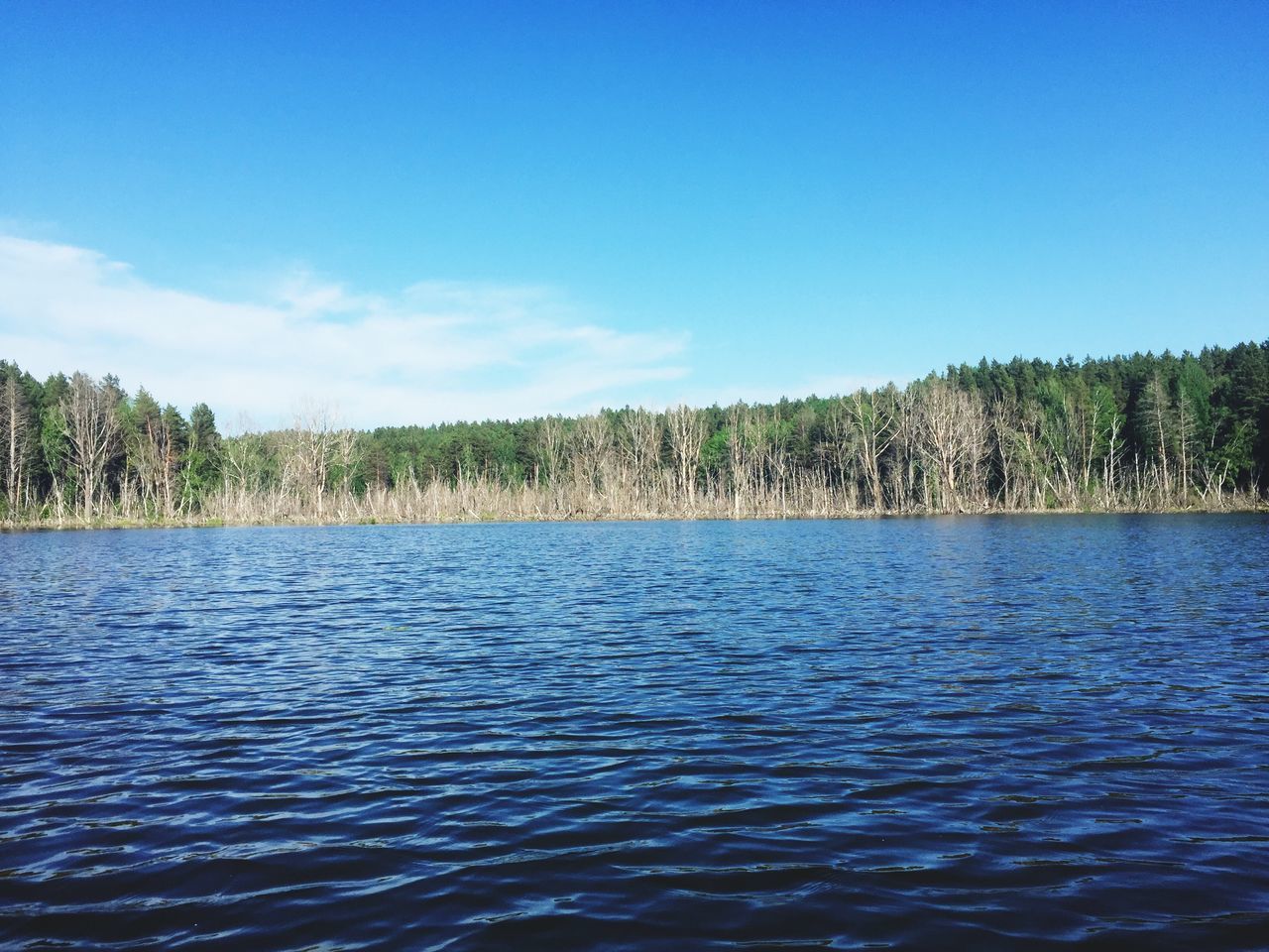 water, tranquil scene, blue, tree, tranquility, waterfront, scenics, beauty in nature, rippled, nature, sky, lake, clear sky, idyllic, day, non-urban scene, calm, river, copy space, outdoors