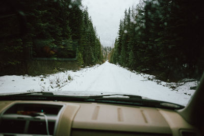Road amidst trees seen through car windshield