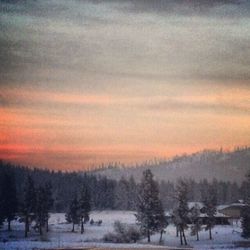 Scenic view of snow covered field at sunset