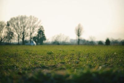 Grassy field against cloudy sky