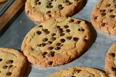 High angle view of chocolate chip cookies on table