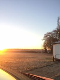Scenic view of tree against clear sky